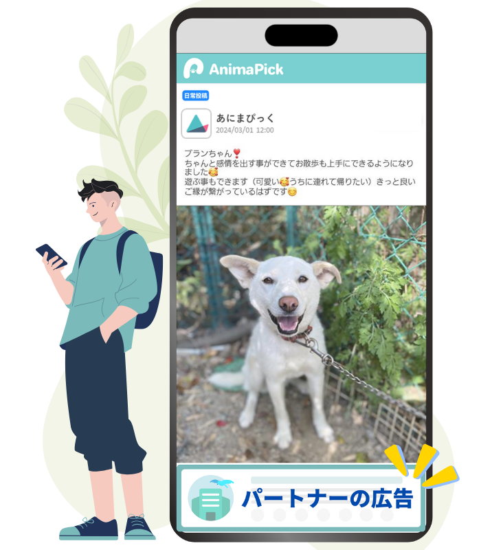 広告掲載イメージ